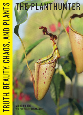 The Planthunter: Truth, Beauty, Chaos, and Plants
