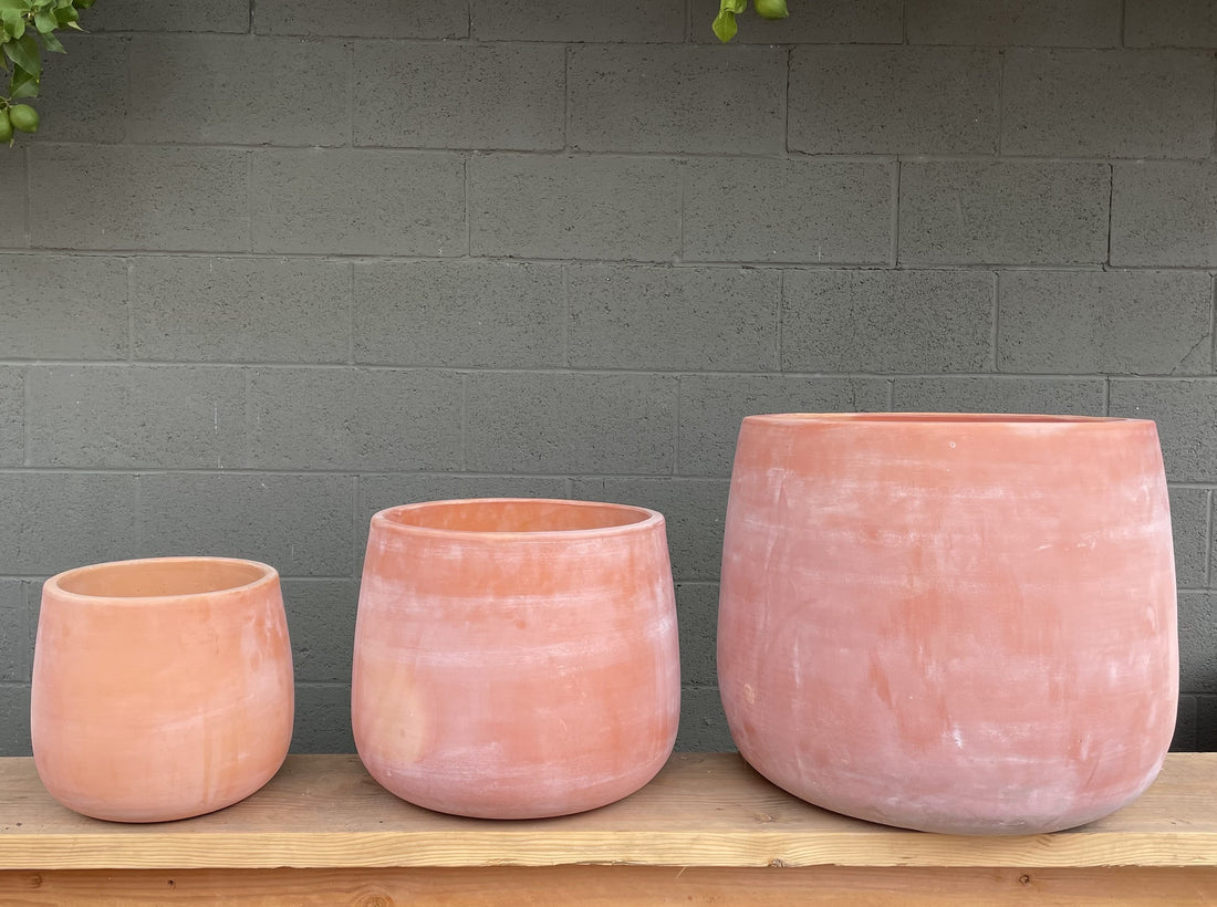 tuscan planter pots Tuscan Pear Bottom Indoor/Outdoor Planter – Plant Material