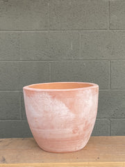 Tuscan Egg Terra Cotta Pot 11 x 9.5"