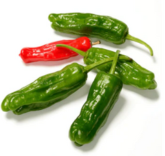 Organic Shishito Hot Pepper Seeds