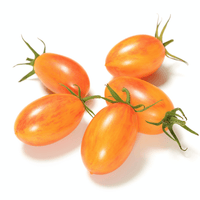 Organic Blush Tomato 