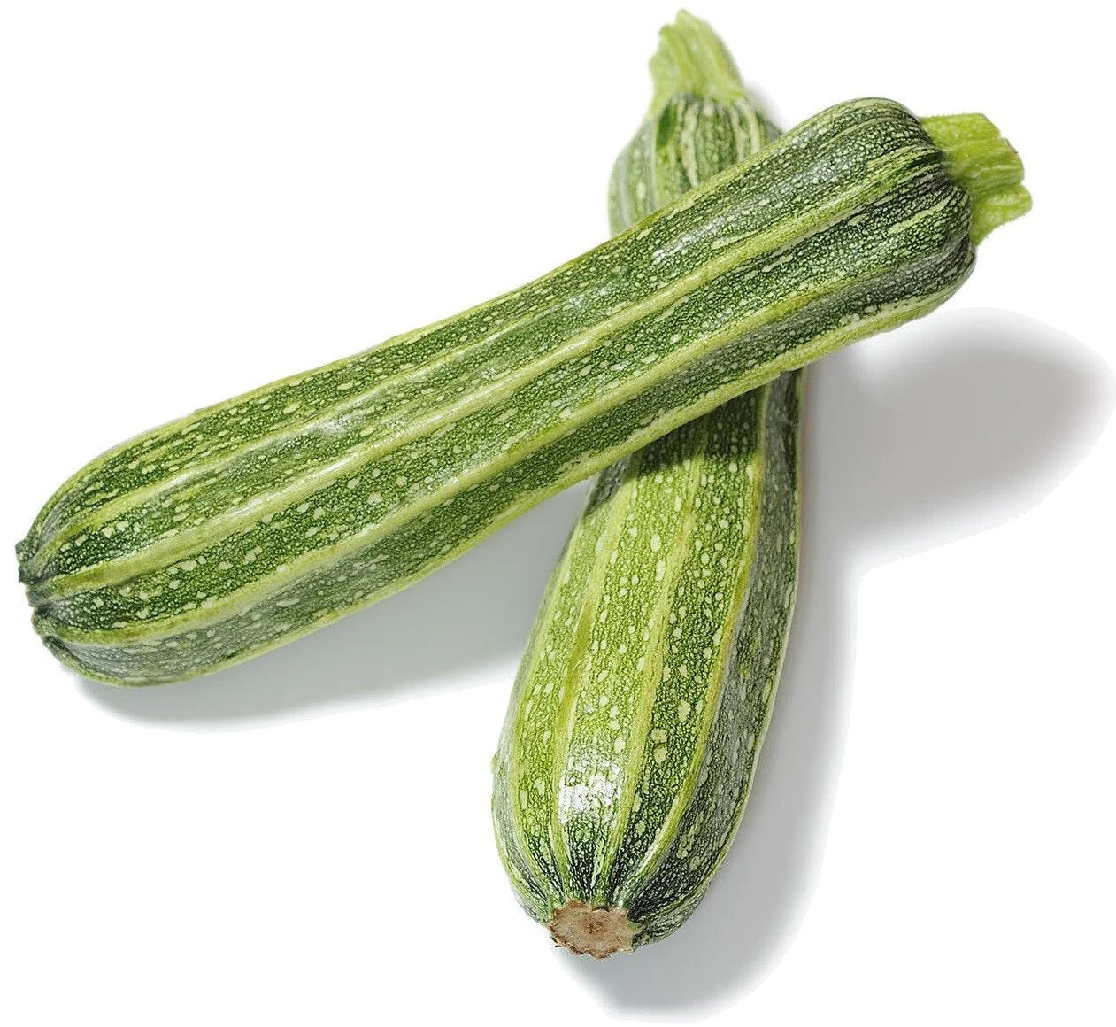 Organic Costata Romanesco Zucchini - Curcurbita pepo Seeds – Plant Material