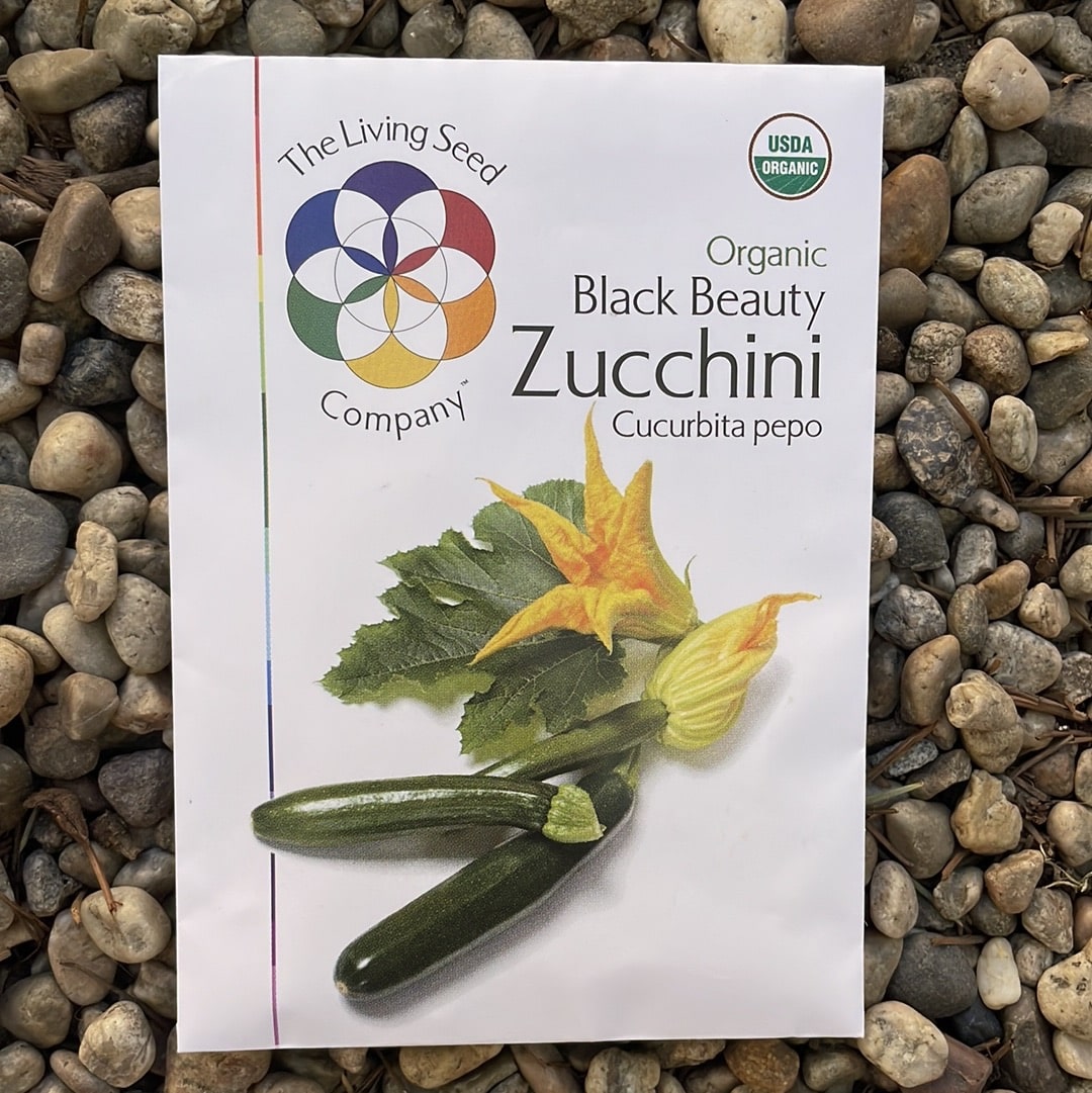 Organic Black Beauty Zucchini Seed Pack