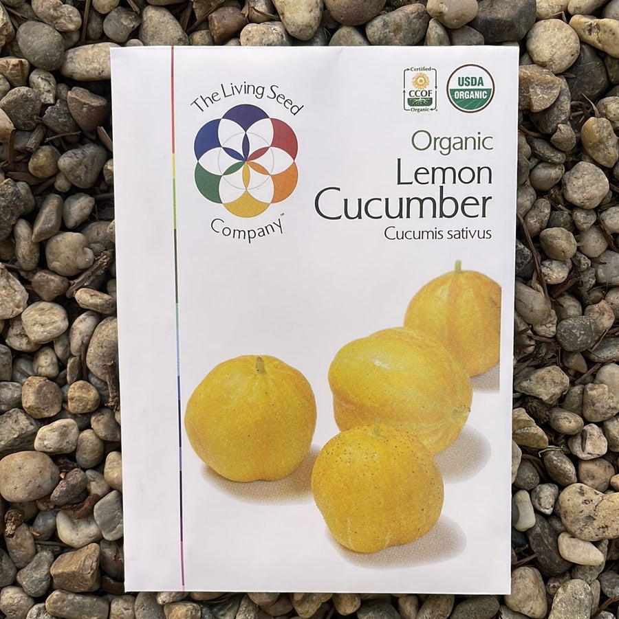 Organic Lemon Cucumber - Cucumis sativus Seed Pack