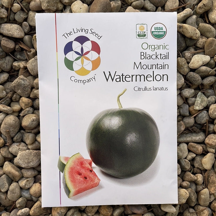 Organic Blacktail Watermelon Seed Pack
