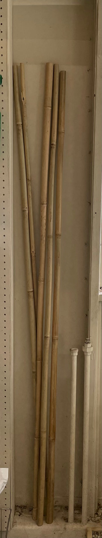 Bamboo Pole 6' X 1"