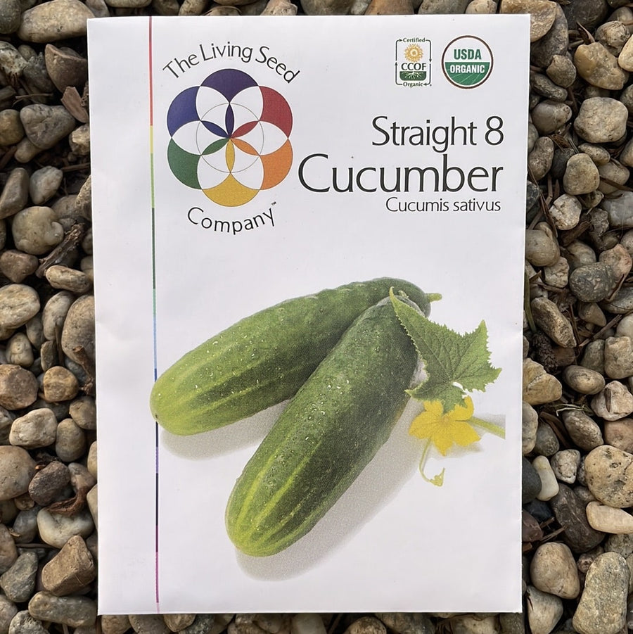 Organic Straight Eight Cucumber - Cucumis sativus Seed Pack