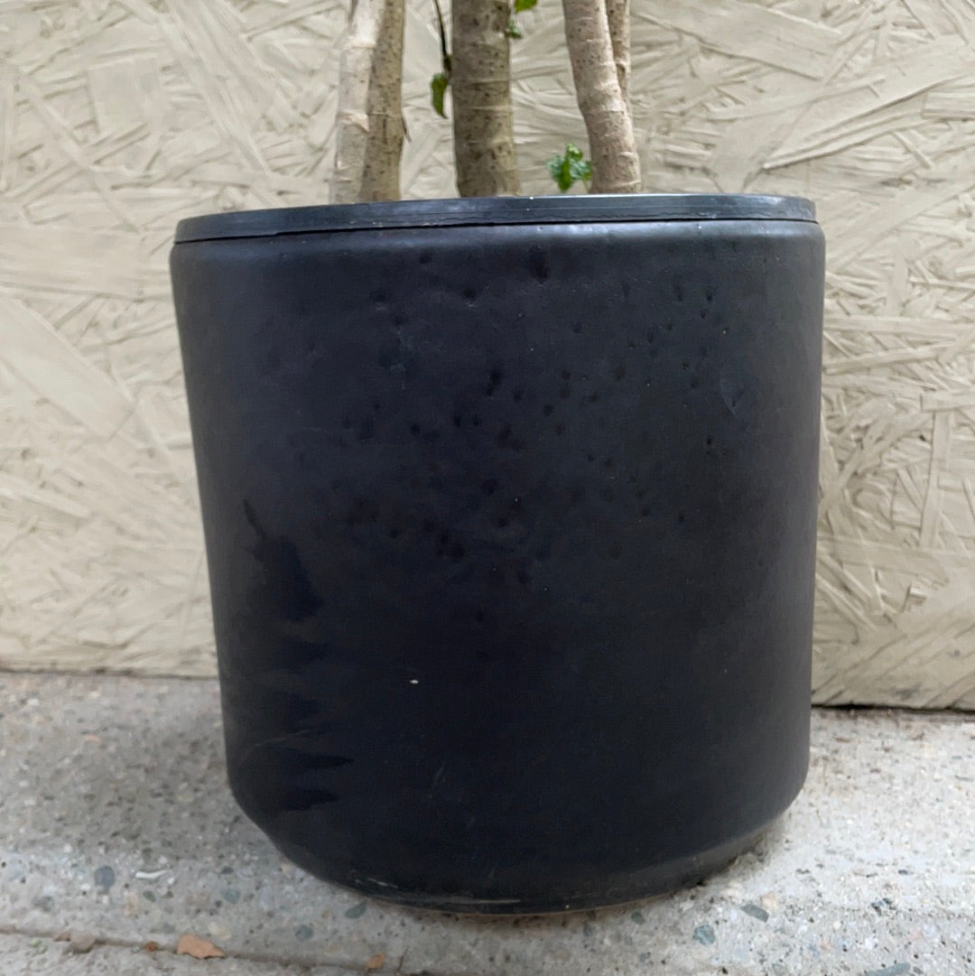 10" Deep Buff Glazed- Matte Black Pot