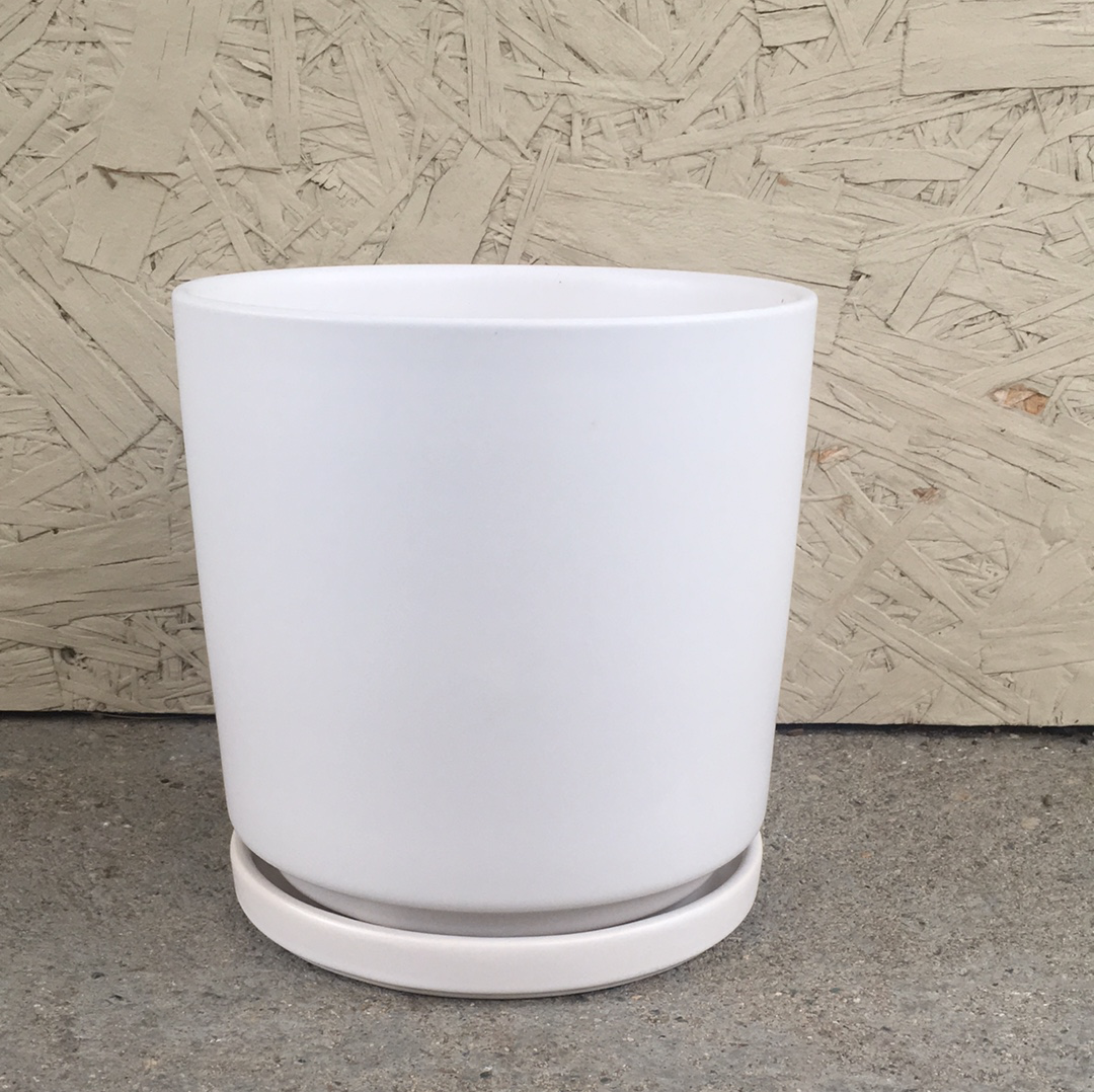 6” Porcelain Glazed Cylinder Pot with Saucer  White