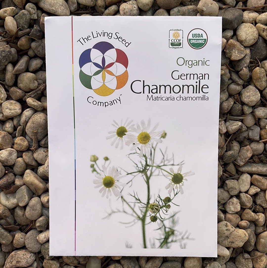 Organic German chamomile - Matricaria recutita Seed Pack