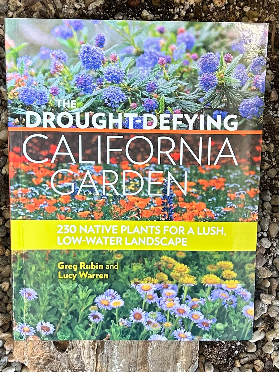 Drought Defying California Garden