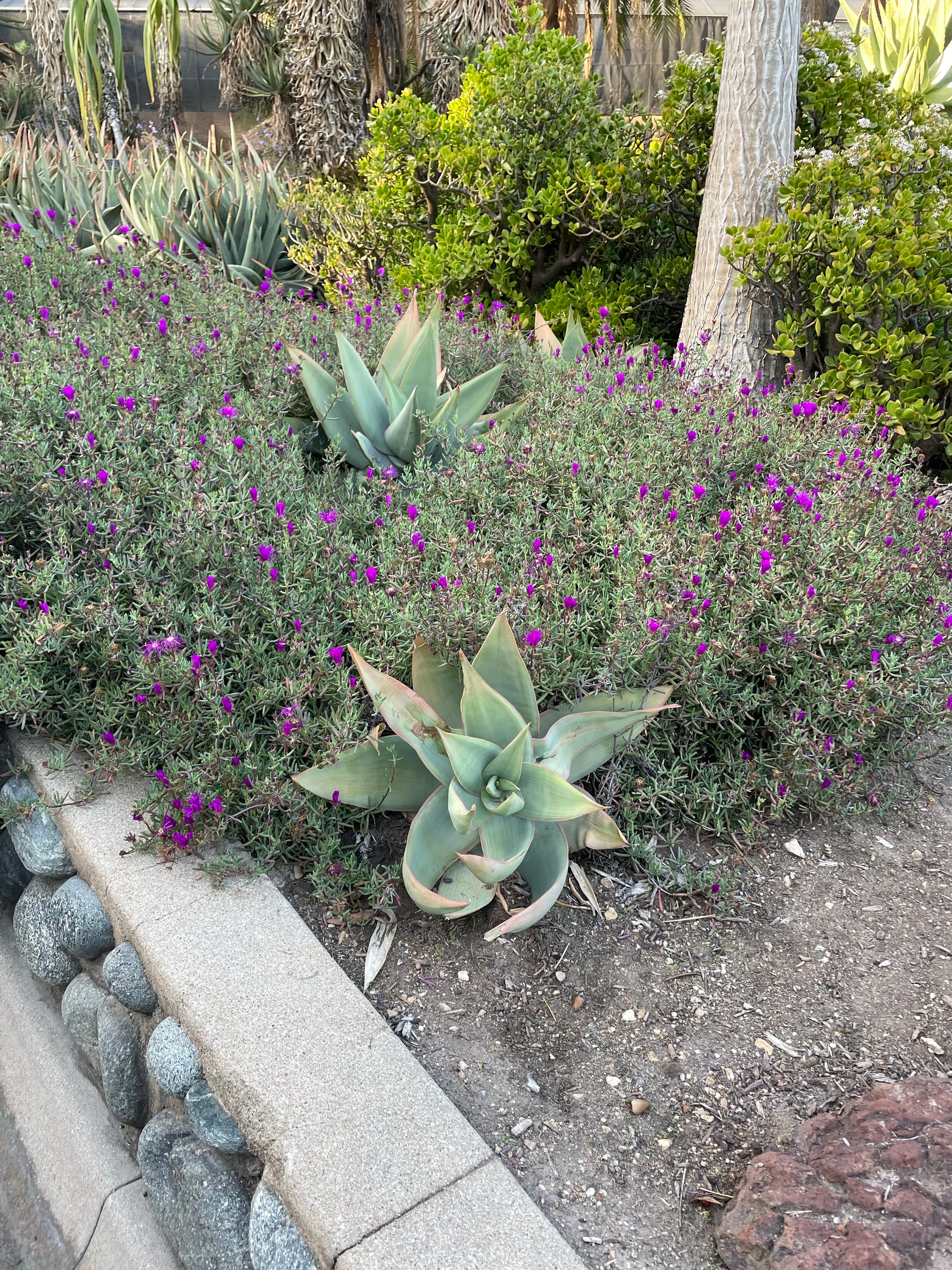 plant material shot