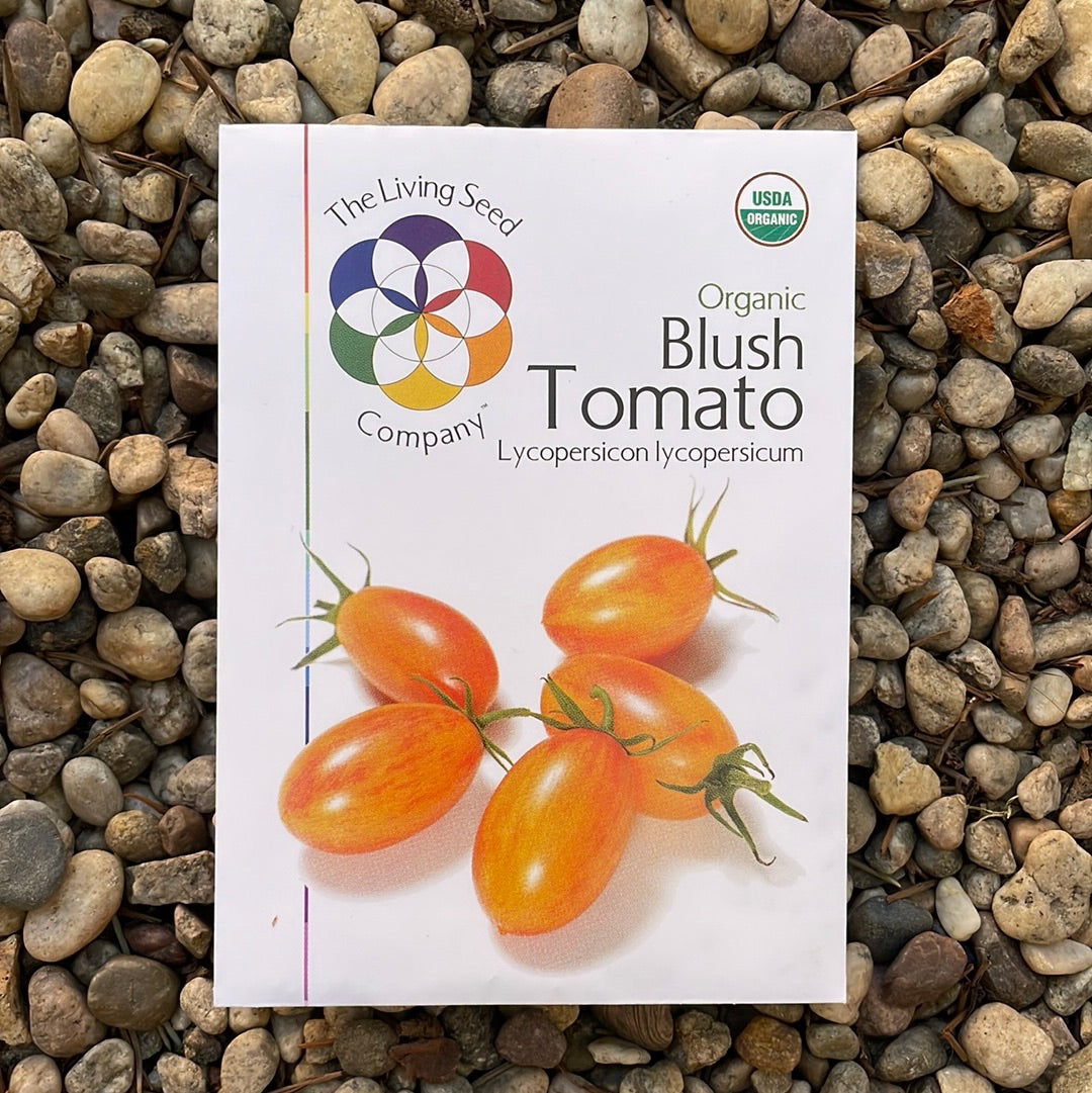 Organic Blush Tomato Seed Pack