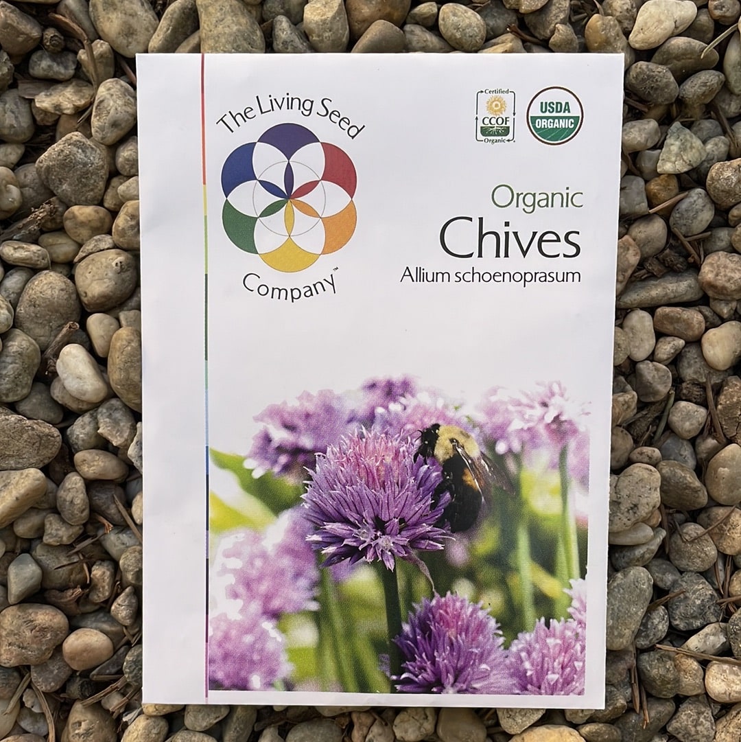 Organic Chives - Allium schoenoprasum Seed Pack