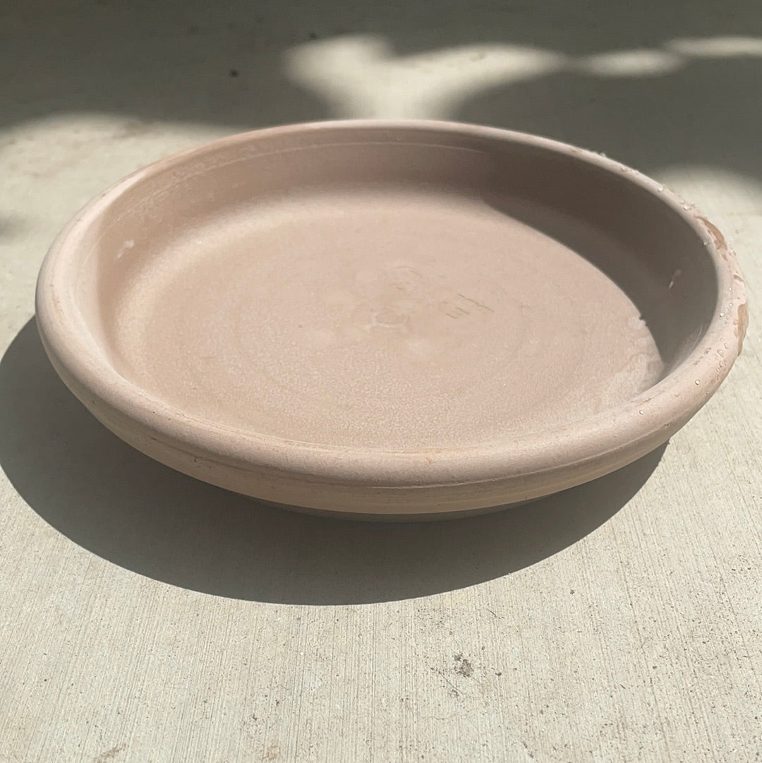 grey plant saucer Colored Italian Saucer (Grey) 6”