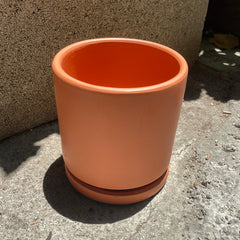 4” Terracotta w/ saucer