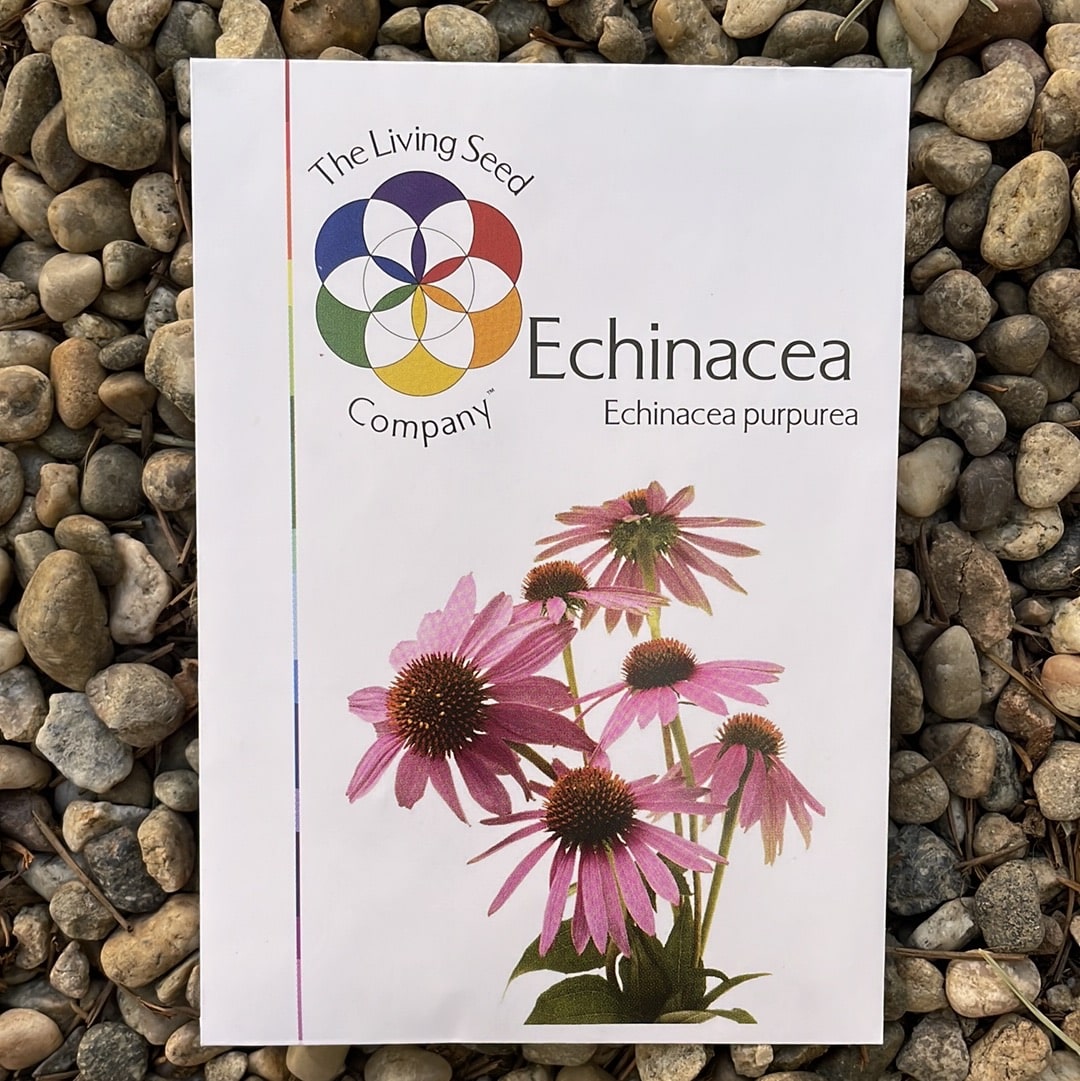 Organic Echinacea - Echinacea purpurea  Seed Pack