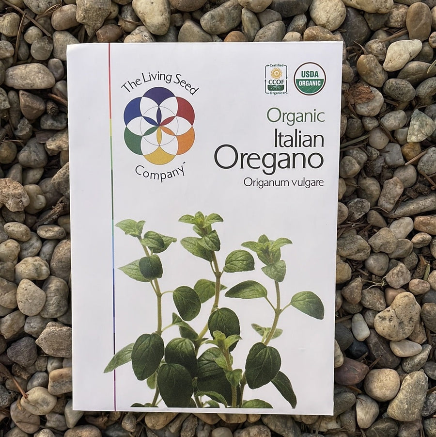 Organic Italian Oregano - Origanum vulgare Seed Pack