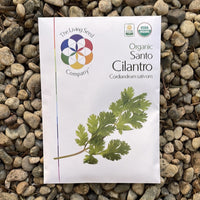 Organic Cilantro - Coriandrum sativum Seed Pack