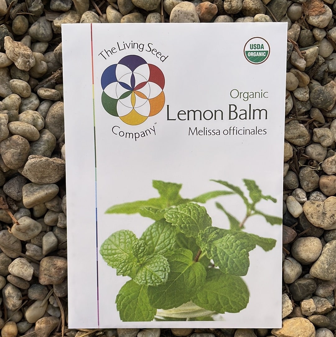 Organic Lemon Balm - Melissa officinalis Seed Pack