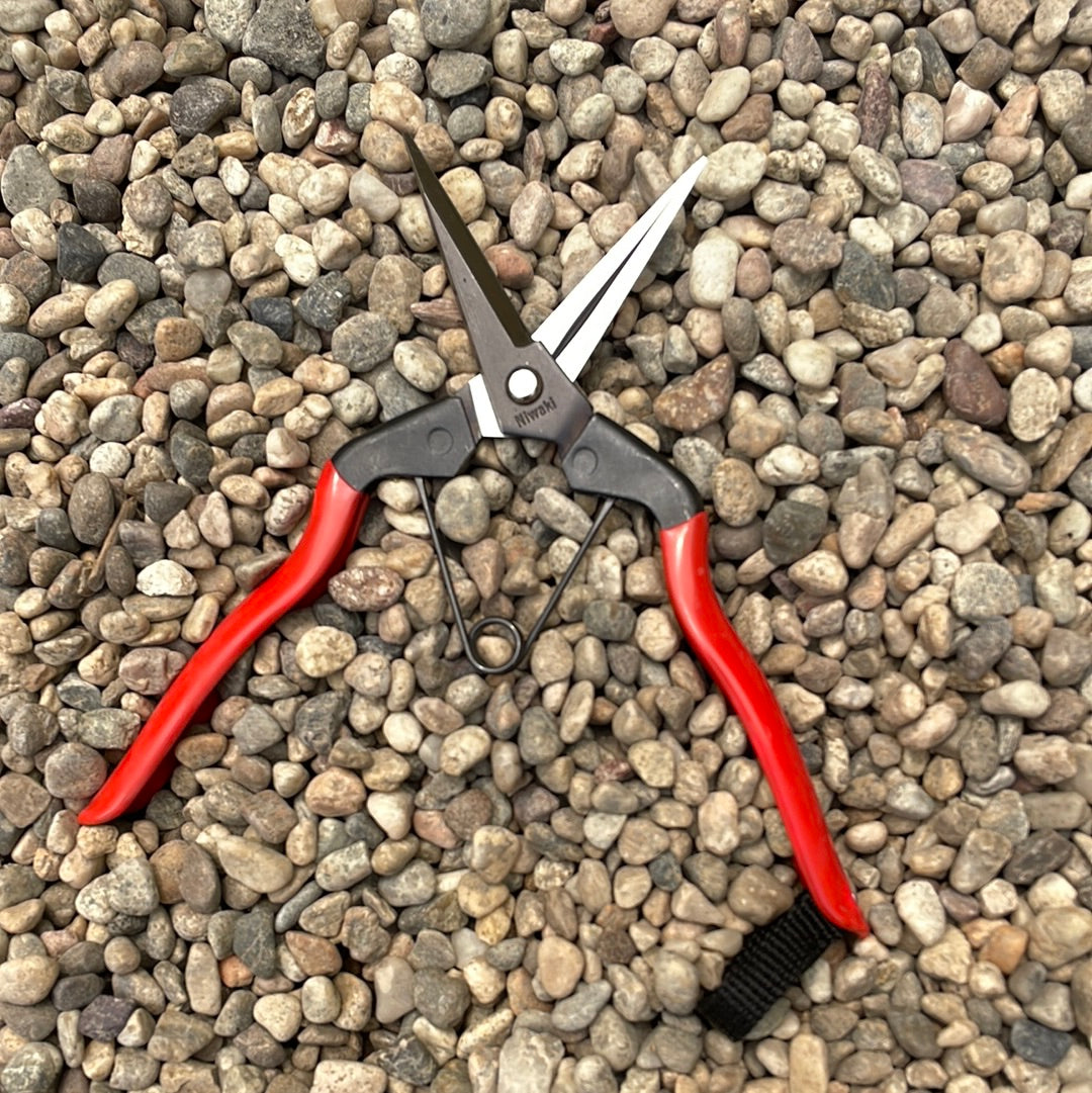 Niwaki Garden Snips