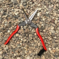 Niwaki Garden Snips