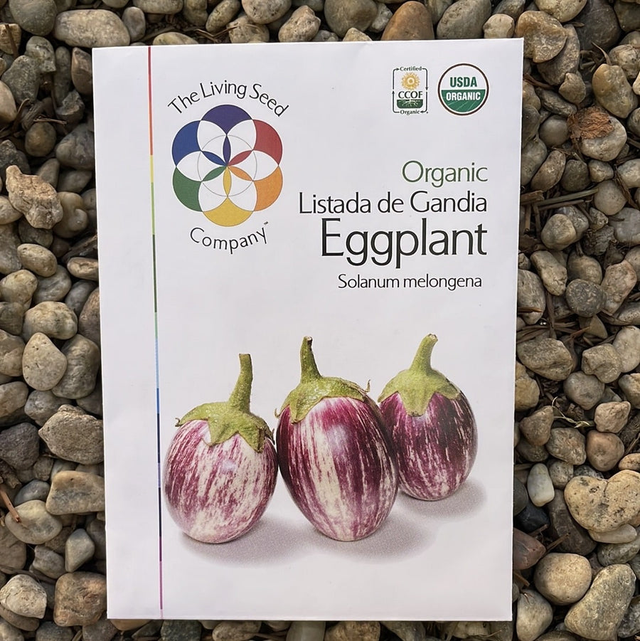Organic Listada de Gandia Eggplant - Solanum melongena Seed Pack