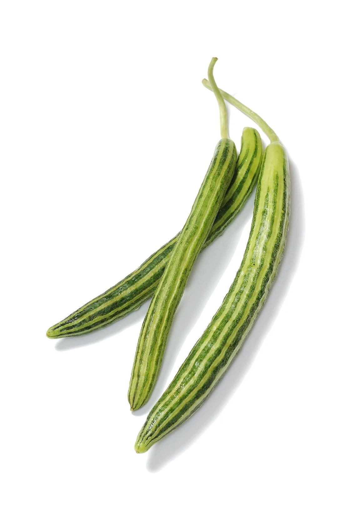 Organic Striped Armenian Cucumber - Cucumis melo