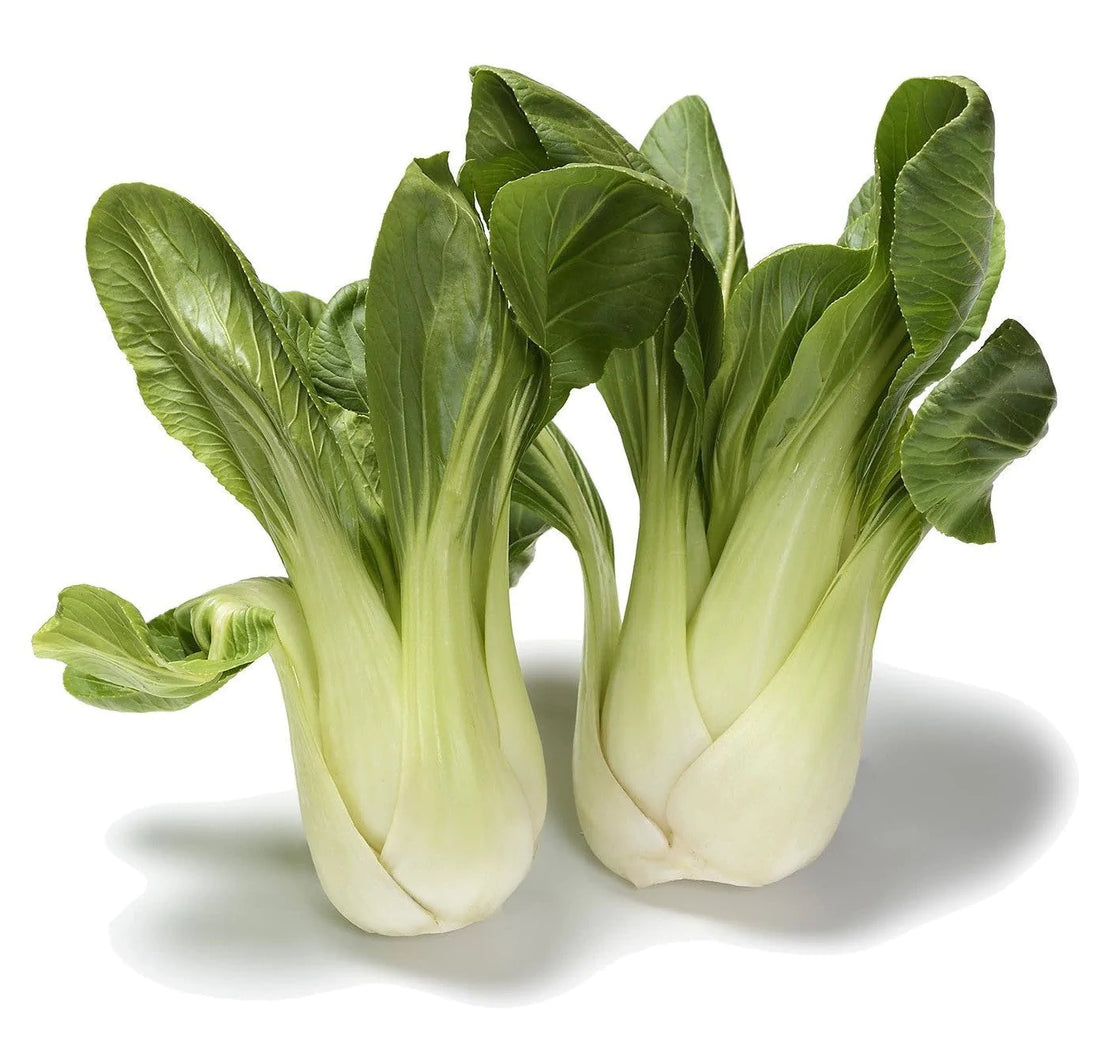 Organic Baby Bok Choy - Brassica rapa