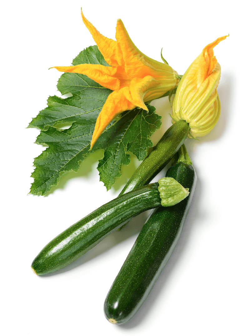 Organic Black Beauty Zucchini