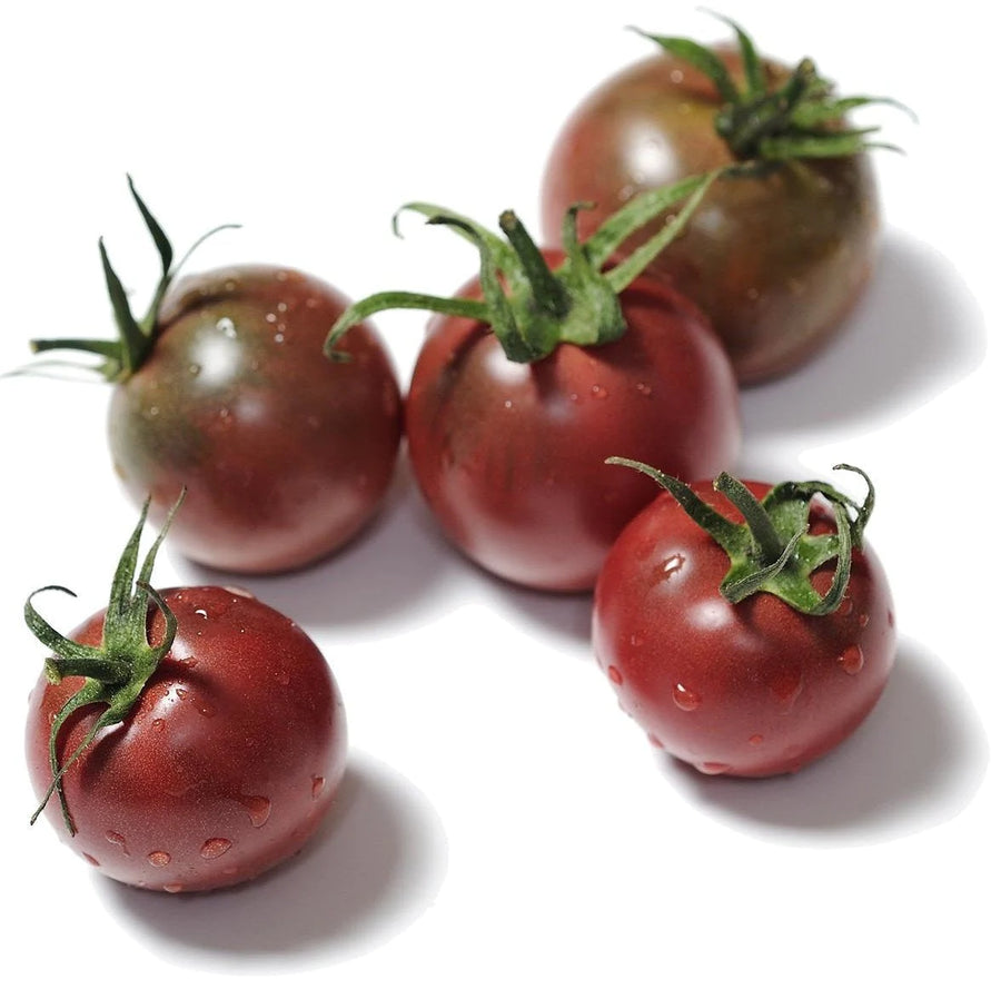 Organic Black Cherry Tomato - Lycopersicon lycopersicum Seeds