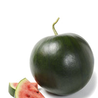 Organic Blacktail Watermelon