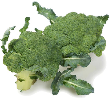 Organic De Cicco Broccoli - Brassica oleracea