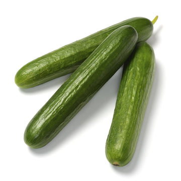 Organic Green Finger Cucumber - Cucumis sativas