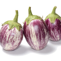 Organic Listada de Gandia Eggplant - Solanum melongena