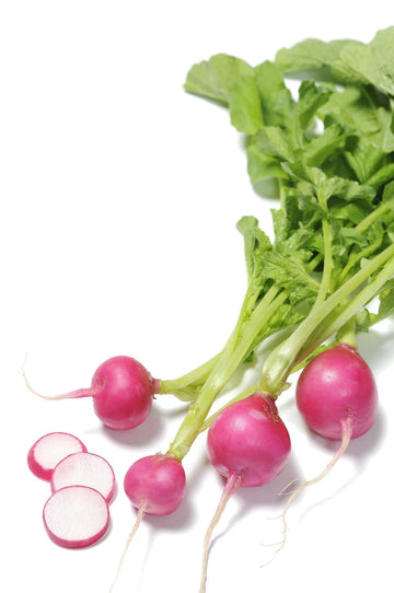Organic Pink Beauty Radish - Raphamus sativus 