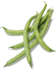 Organic Tendergreen Bush Bean - Phaseolus vulgaris