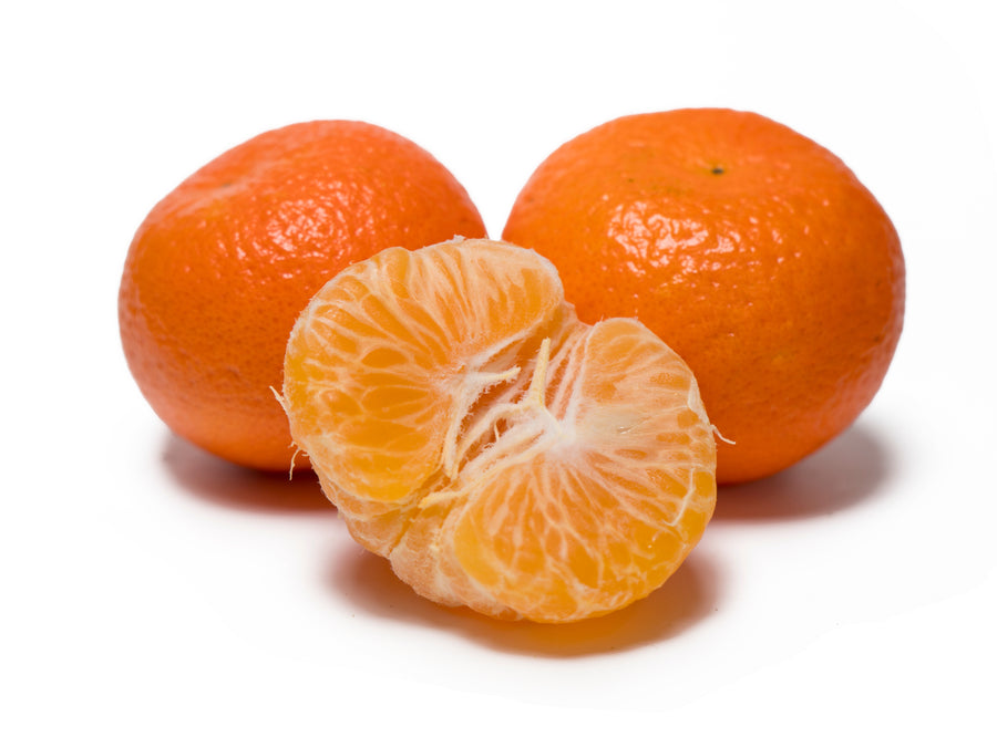 Fremont Mandarin, dwarf